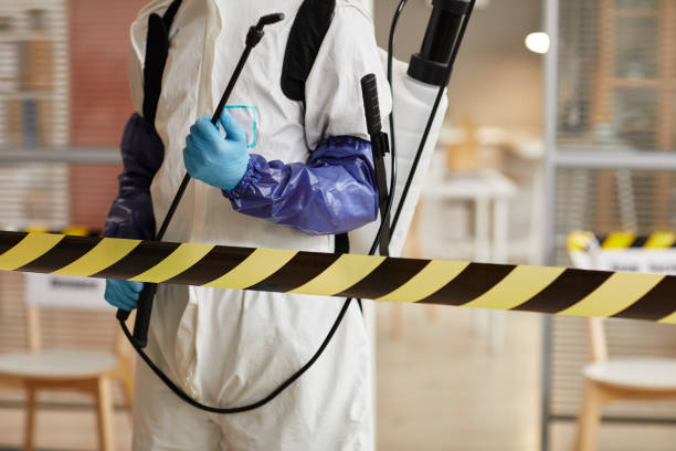 Professional Sewage Cleanup technician working in Hospers, IA
